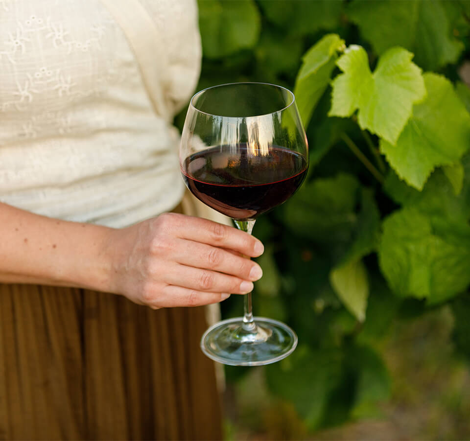 Hand holding a glass of Old Coach Road Merlot red wine in front of vineyard leaves
