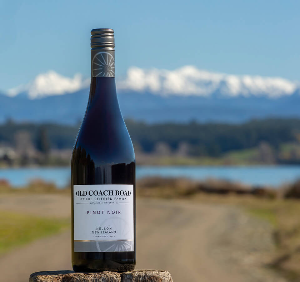 Bottle of Old Coach Road Pinot Noir standing on a stone ledge against a scenic coastal landscape
