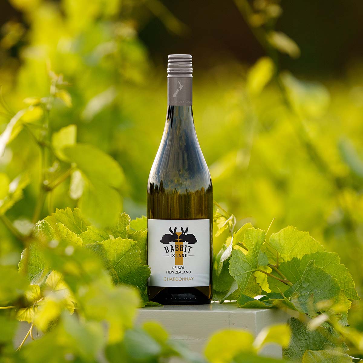 Bottle of Rabbit Island Nelson Chardonnay standing outdoors among sunlit vineyard grapevines